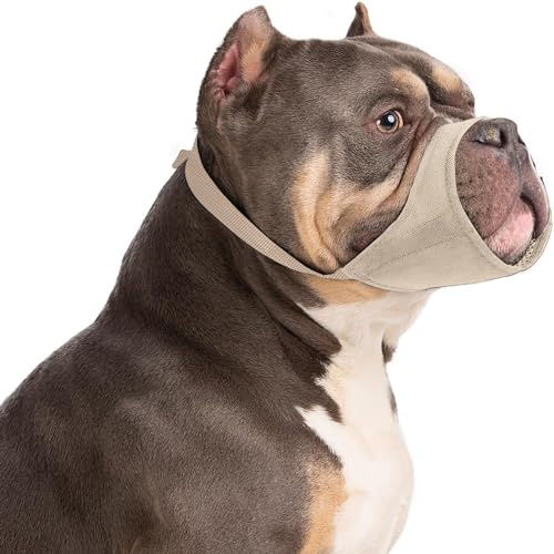 HYHIOTS Maulkorb Hunde für Kleine Mittlere Hunde, Giftköderschutz Verhindert Fressen Bellen für Chihuahua, Shih Tzu Bulldogge, Pitbull (Khaki, L)