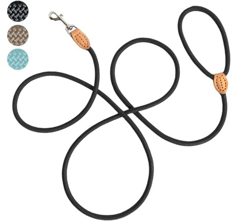 LeileiPaws Tauleine Hund – Nylon Hundeleine für kleine, mittelgroße & große Hunde – hundeleine leicht mit Schlaufe für kleinere Hunde, robuste Hundeleine große Hunde(Schwarz, 2m x 0.8cm)