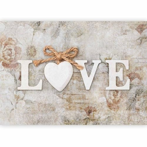 murando - Papier peint panoramique créatif 350x256 cm - Revêtement mural décoration pour chambre salon - Design unique et moderne - Beige marron - Fond d'amour en sous-titres anglais m-C-0456-a-a