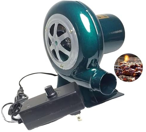 Soplador De Barbacoa - Soplador De Aire Eléctrico Centrífugo, Soplador Inflable Eléctrico, Ventilador Eléctrico, Parrilla Del Encendedor Del Carbón De La Fan, Excitador De Llama De Arranque ( Size : 8