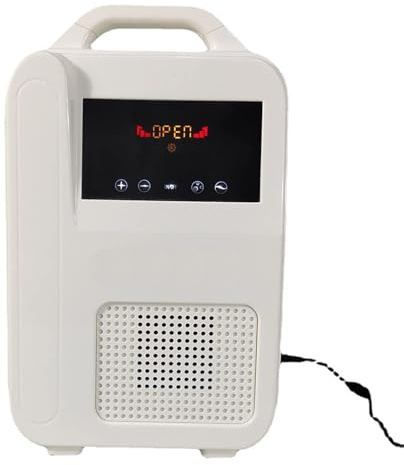 Appareil électrique portable à oxygène – Booster d'air à ions négatifs avec canule et étui de transport – Machine à oxygène compacte pour la maison, les voyages, l'extérieur et la voiture