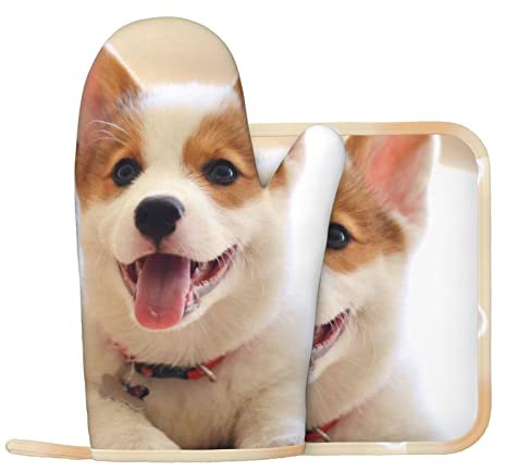 Hund Ofenhandschuhe und Topflappen Set für Küche Kochen und Backen und Mikrowelle Silikon Anti-Heiße Handschuhe + Anti-Heiß-Pad (Linke Handschuhe)