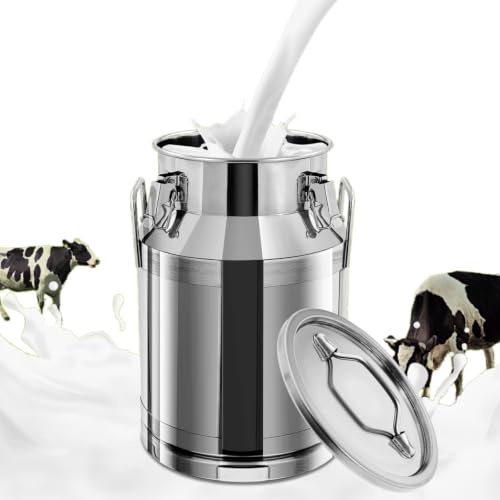 HuKaiL Bricco per latte ermetico in acciaio inox 201, con coperchio, 30 litri, contenitore per cereali, farina per latte, vino, riso, farina e cereali