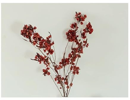 Pensées séchées Fleurs Iris Rouge Bouquet de Fleurs séchées Plante Naturelle Fleurs séchées Maison Hôtel Fête de Mariage Vacances Arrangement Floral Décoration