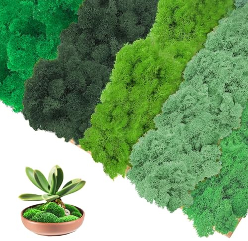 Ryvera 200g Kunstmoos zum Basteln & Dekorieren, 5 Farben, Künstliches Moos für Moosbilder, Deko-Wände und DIY-Projekte