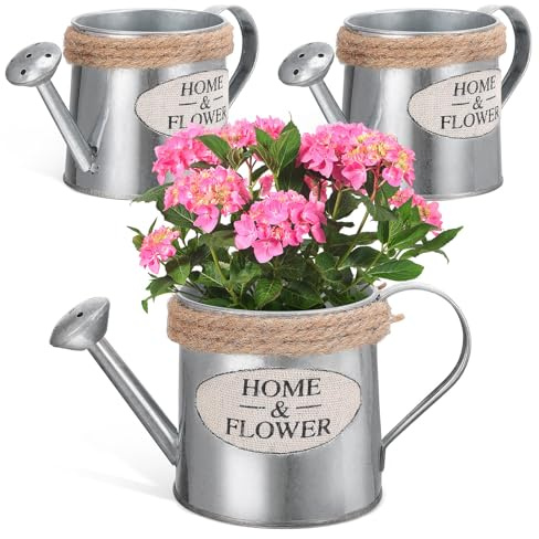 DOITOOL Set da 3 Annaffiatoi Rustici in Ferro, Vaso Decorativo da Fattoria per Composizioni Floreali, Vaso Portafiori Compatto per Tavolo e Arredamento Casa