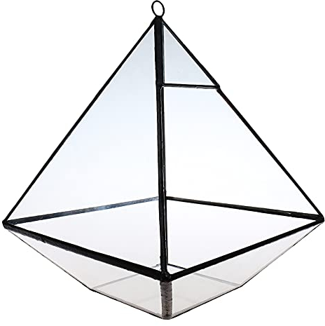 OQHAIR Plant Display Box Glass Clear Tabletop Succulent Plant Terrarium Box Hanging Planter Flower Fern Moss Pot for Plant (Color : Black Size : One size) (Black One Size)