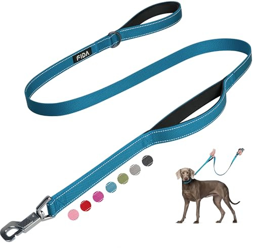 Fida Dog Lead with Double Padded Handles, 1.5m Reflective Heavy Duty Lead Walking Leash for Medium Large Dogs, Strong Nylon Dog Leash with Upgrade Easy Use Metal Hook for Safety Training, Blue