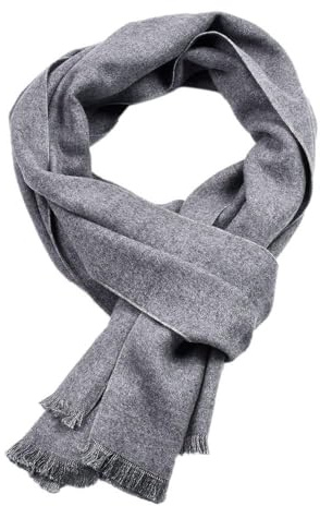 FAIRYGATE Schal für Unisex Damen Herren Weich Warm Herbst und Winter Komfortabel Eleganter Schals 0012
