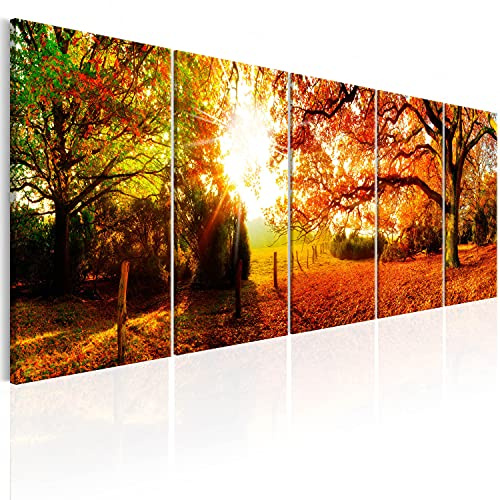 B&D XXL - Acrylglasbild Geschenke Heimdekoration, 200x80 cm, 5-teilig | Hochwertige Leinwand, sofort aufhängbar, ideal fürs Wohn- oder Schlafzimmer, wasserfest und lichtecht, langlebig, stilvoll
