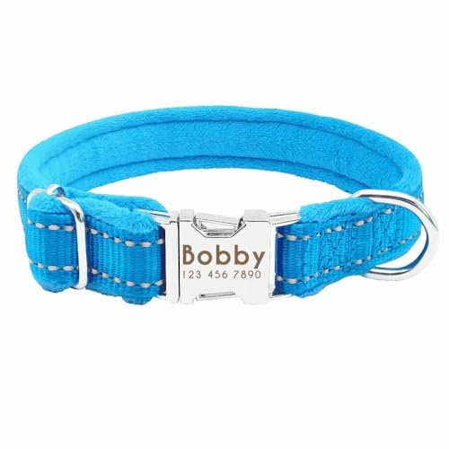 Gepolstertes Hundehalsband – Reflektierend & personalisiert mit Gravur – Name & Telefonnummer auf robuster Schnalle – Graviert in Deutschland & schnell geliefert! Halsband blau/M 25-39cm