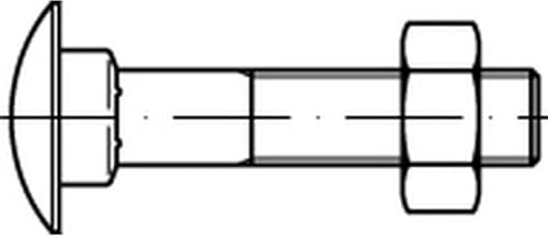 DIN 603 Mu Stahl Flachrundschrauben mit Vierkantansatz, mit Sechskantmutter - Abmessung: M12x170 (25 Stück)