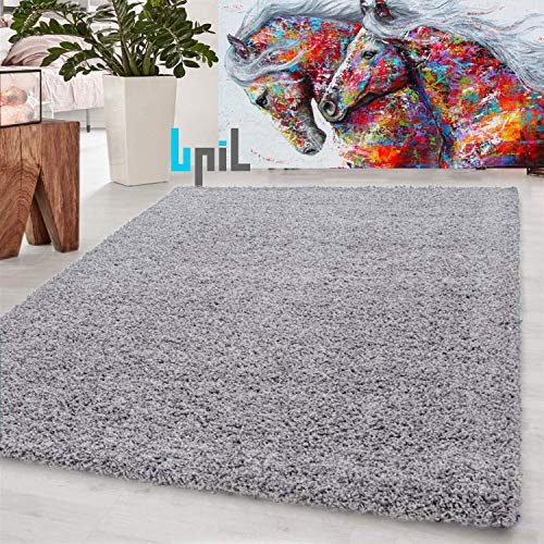 BPIL Living Room Rugs – 5cm Extra Thick Shaggy Rug – Soft Plain Area Rug, Luxurious Modern Carpet for Hall, Bedroom, Kitchen (Silver, 160x230cm)