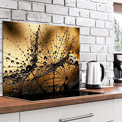 murando Glass Splashback for Kitchen Backsplash Cooker Protector Tempered Glass Decorative Wall Art Panel Heat Resistant Graphic 80x60 cm / 32x24 Flowers Dandelion Nature b-B-0460-aq-e