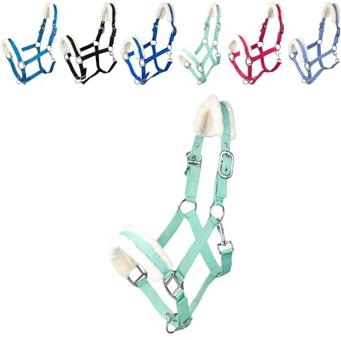 RL24 - Halfter Basicline mit Plüschpolsterung – viele Farben & Größen | Für Pferde & Ponys – nietenverstärkte Verschlüsse – Karabinerhaken zum Öffnen