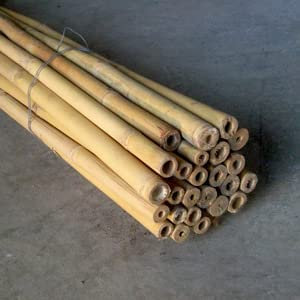 Pag Canne di bamboo ⌀ 24/26 mm Altezza 3000 mm | Tutori per Orto, Giardino e Arredo | Sostegno per Ortaggi e Piante rampicanti | 10 pezzi