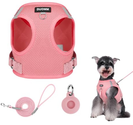 XFSRG Hundegeschirr für Kleine Hunde Atmungsaktives Rosa Brustgeschirr Verstellbares Sicherheitsgeschirr mit Leine und ID-Tag Komfortables Welpengeschirr für Spaziergänge und Training (Rosa, M)