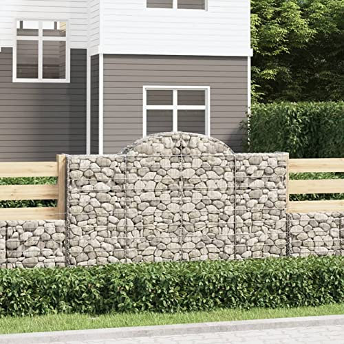 ShGaxin Cesti Gabbioni ad Arco 2 pz 200x50x120/140 cm Ferro Zincato,Gabbioni,Cesti Gabbioni ad Arco,Gabbioni da Giardino,Gabbioni Metallici per Pietre-3146341