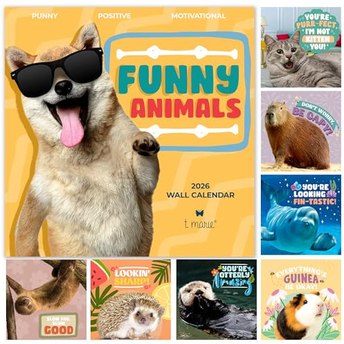 2026 Funny Wall Calendar - Monthly 12x12” Punny Calendar With Cute Animal Memes and Motivational Puns - Clean Humor for Home and Office - Funny Gifts and Kids Friendly Dad Jokes