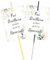 100pz Matrimonio Stelline Scintillanti Etichette, Eucalipto Decorazioni Matrimonio per Stelline Scintillanti e Luminosi Fluorescenti, Fai Brillare Questo Giorno Speciale, Matrimonio Party Gadget