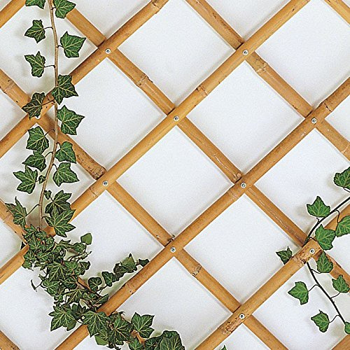 eacommerce Traliccio Grigliato Reticolato in Bamboo Naturale Estensibile per Piante e Fiori rampicanti per Balconi, Terrazze, Giardino (100X200 CM)