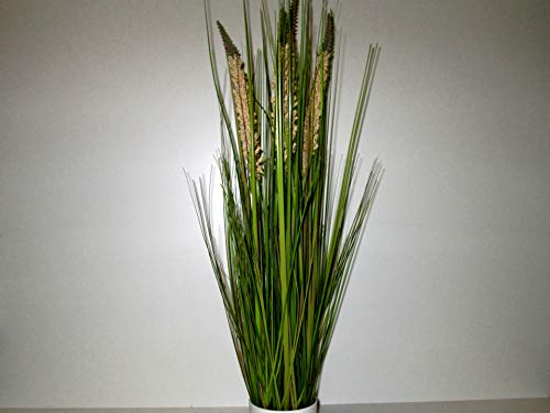 Dekoeinkauf Dünen-Gras mit 4 Wedeln im Topf, 76 cm