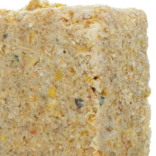 BusyBeaks Suet Fat Blocks | Premium Garden Wild Bird Food | Enhanced Formula | Naturally Blended, High in Energy & Protein-Rich Feed | Full of Nutritious Fat Fibre & Moisture (Sunflower Hearts, 5)