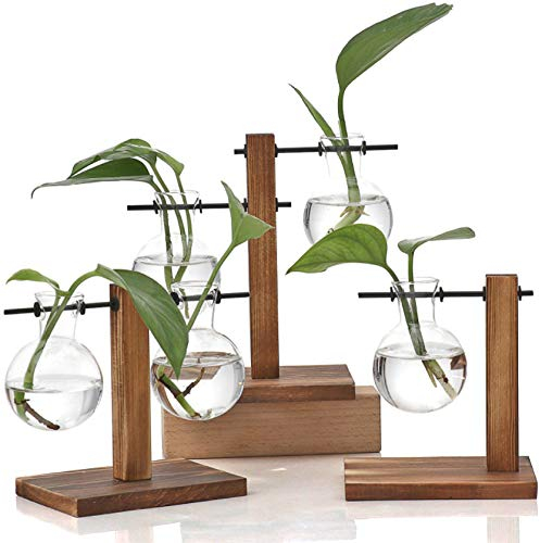 WUWEOT 3 Stück Hydroponik Glasvase mit Holz Halter Hängevase Blumenvase Tischvase Dekovase Birne Vintage Avocado Vase mit Holzständer Dekoration für Zuhause Garten Büro Schreibtisch