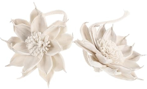 HAKIDZEL Diffusore senza Fiamma con Fiori di Canna Profumati, 2 Pezzi con Corda di Cotone, Aromaterapia e Diffusione Uniforme, per Camere da Letto e Feste
