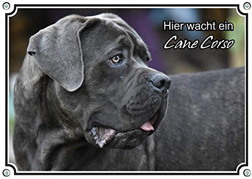 Petsigns Hundeschild Cane Corso - wunderschönes Warnschild - uv-beständig - Italien. Dogge, DIN A4