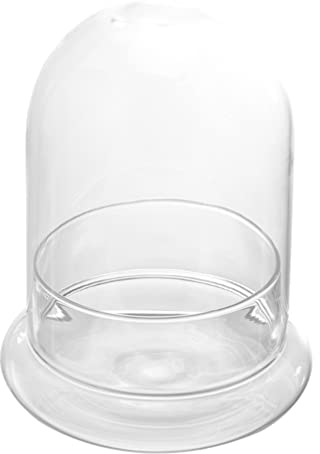 Zerodeko 1stück Ökologie Flasche Diy Glasbehälter Für Pflanzen Terrarium Ohne Dekorative Vase Für Zuhause Hotel Und Restaurant