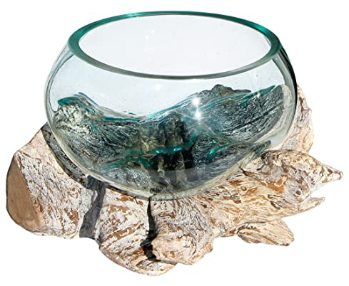 Wogeka - White Line Collection - Glas Schale in Wurzel-Holz Gamal - im modernen Style aus Holz als Geschenk-Idee zu Weihnachten Geburtstag Dekoration (Schale XLw (Ø Glas 23-25 cm))