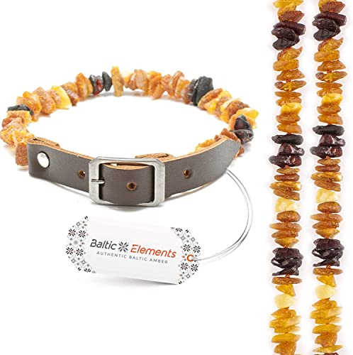 Bärnstenskedja hund och katt – justerbart bärnstenshalsband – bärnstenshalsband för stora och små hundar och katter (20–22 cm)