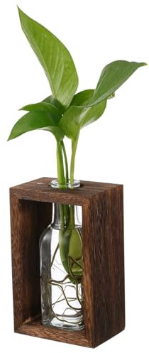 Ciieeo Wooden Plant Propagation Station Glass Bottle for Hydroponics Plants Desktop Decor for Living for Indoor Real Pots