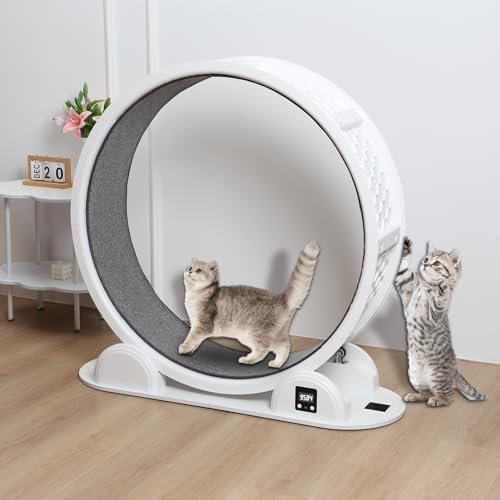 Saterkali Katzenlaufrad für Indoor-Katzen, Katzenlaufrad mit Theken-Display, Katzenlaufband, Kratzen mit Verriegelungsmechanismus, Laufrad, Geschenk für Kätzchen, Gewichtsverlust und Gesundheit