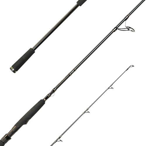 SPRO Big Lure Spin Rod - Big Bait Spinnrute, Angelrute zum Hecht und Welsangeln (2,40m 50-140g)