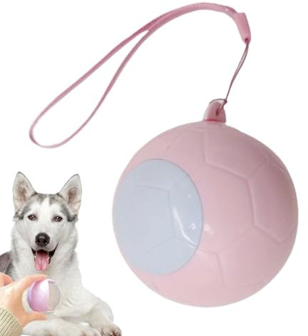 Lint Roller | Reusable Lint Roller Travel Size - Washable Pet Hair Removal Tool with Strong Adhesion for Clothing Maintenance Car Interior Cleaning