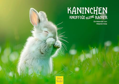 Edition Seidel Premium Kalender Kaninchen 2026 Format DIN A3 Wandkalender Tierkalender Häschen Mümmler Tierkinder Wildtiere Waldtiere Haustiere Melanie Viola