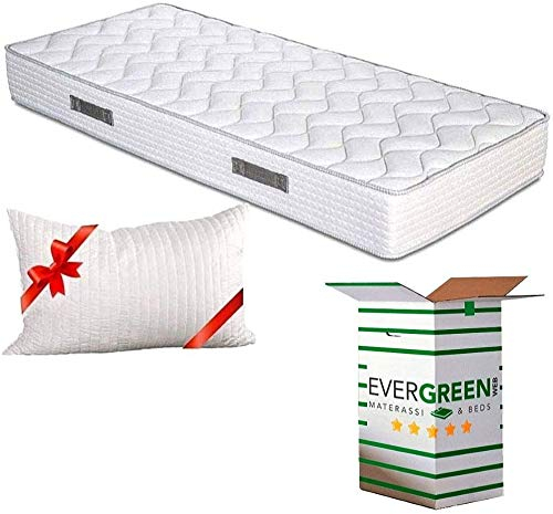 EVERGREENWEB - Orthopädische Waterfoam Matratze 90x200 cm, Hoch 20 cm + 1 VISCOSCHAUM Kissen KOSTENLOS aus Memory Foam Flocken, Atmungsaktiv, Hypoallergen, Ergonomisch, 100% Made in Italy | Fashion