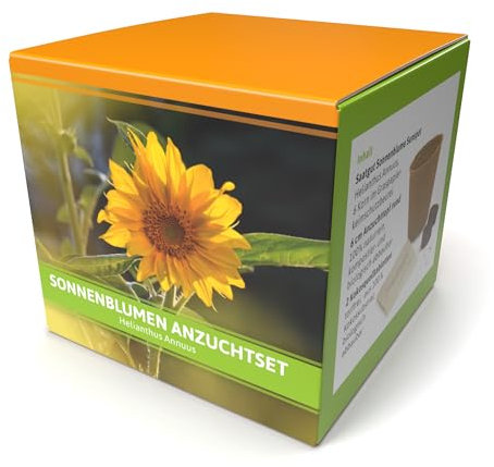 FLORTUS W5296 Anzuchtset Sonnenblumen (Gelb) (Anzuchtsets für Werbezwecke)
