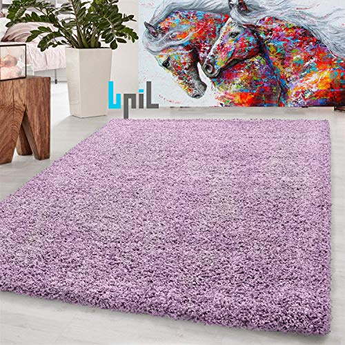 BPIL Living Room Rugs – 5cm Extra Thick Shaggy Rug – Soft Plain Area Rug, Luxurious Modern Carpet for Hall, Bedroom, Kitchen (Heather, 160x230cm)