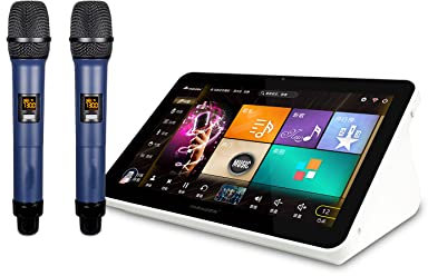 DISHENGZHEN Karaoke System, 15.6 inch Capacitive Touch Screen Karaoke Machine with Wireless Microphone, Support multiple languages for Home Party KTV DJ Bar, 2T