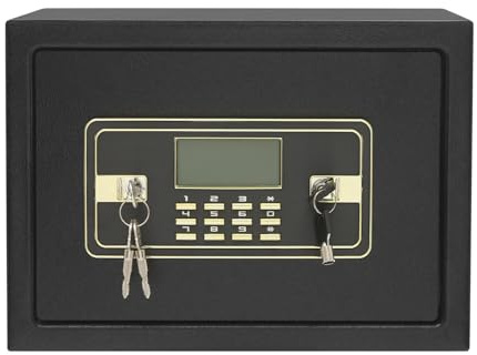 Cassaforte sicura con display a LED e allarme: cassaforte da parete da 22 l, con doppia serratura, password e chiavi, ripiano e apertura di emergenza, cassaforte in acciaio per casa, ufficio, hotel