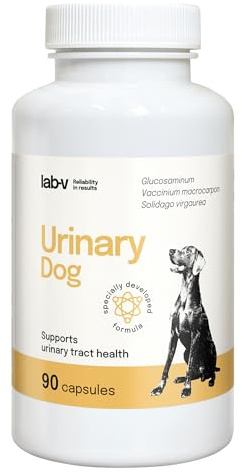 Lab-V Urinary Dog – Ergänzungsfuttermittel für Hunde zur Unterstützung der Harnwege – 90 Kapseln – mit Cranberry & D-Mannose – ohne künstliche Zusatzstoffe