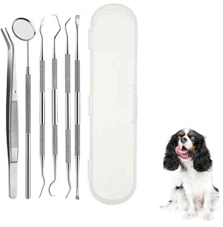 Outil Tartre Dentaire Nettoyage pour Animaux, 6 Pièces Acier Inoxydable Outil de Nettoyage Des Dents Pour Animaux, Brosse A Dent Chien, Anti Tartre Chien, Kit D'Hygiène Dentaire