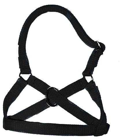 Brama West Alpaka Halfter in Allen Alpaka - Lama Größen, verstellbar, schwarz, Gr. 50