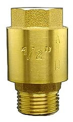 BDAYEK Clapet Anti-Retour Clapet Anti-Retour, clapet Anti-Retour, 1/2 3/4 1 BSP Filetage mâle Femelle en Laiton Ressort de Levage Vertical clapet Anti-Retour unidirectionnel(Female to Male,1 inch)
