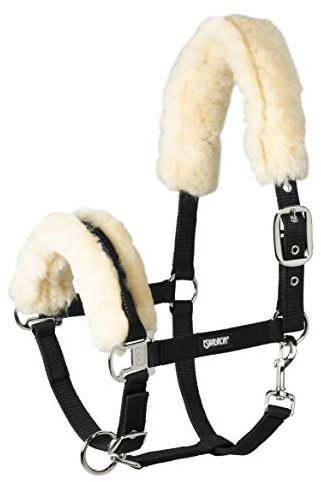 Standard Halfter LAMBSKIN PIN BUCKLE