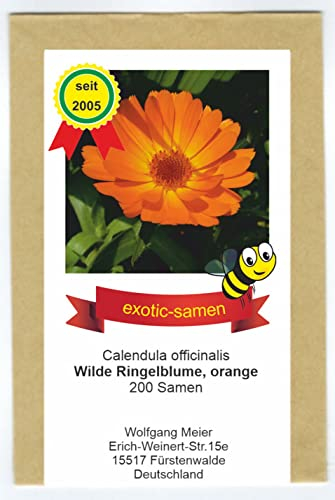 Orange Ringelblume Wildform - ungefüllt - Calendula officinalis - Bienenweide - Heilpflanze - 200 Samen
