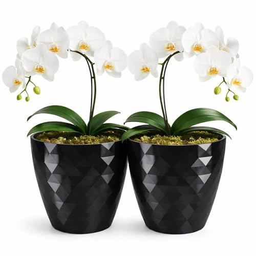 PECZEKO glänzender Blumentöpfe, Kunststoff-Pflanzentöpfe, dekorativer Blumentopf für große und kleine Blumen, 2er-Set Blumentöpf, Pflanztopf, Kräutertopf, (2 Pack) Schwarz, ø 18 cm